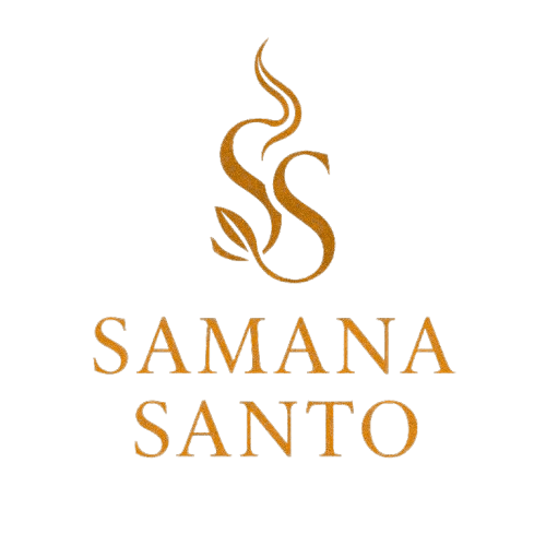 logo be fono