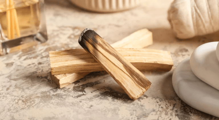palo santo buityje