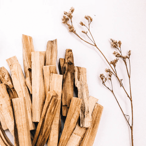 palo santo buityje vaza